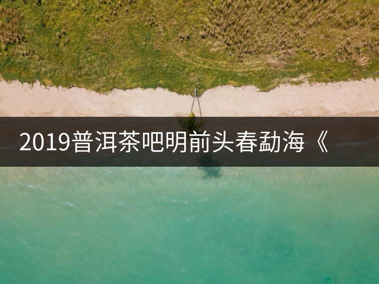 2019普洱茶吧明前頭春勐海《月光白》白茶優(yōu)惠訂購(gòu)