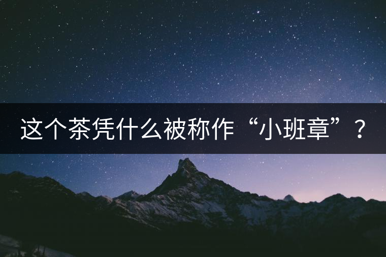 這個(gè)茶憑什么被稱作“小班章”？