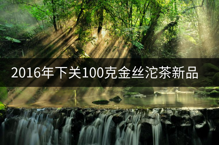 2016年下關100克金絲沱茶新品上市