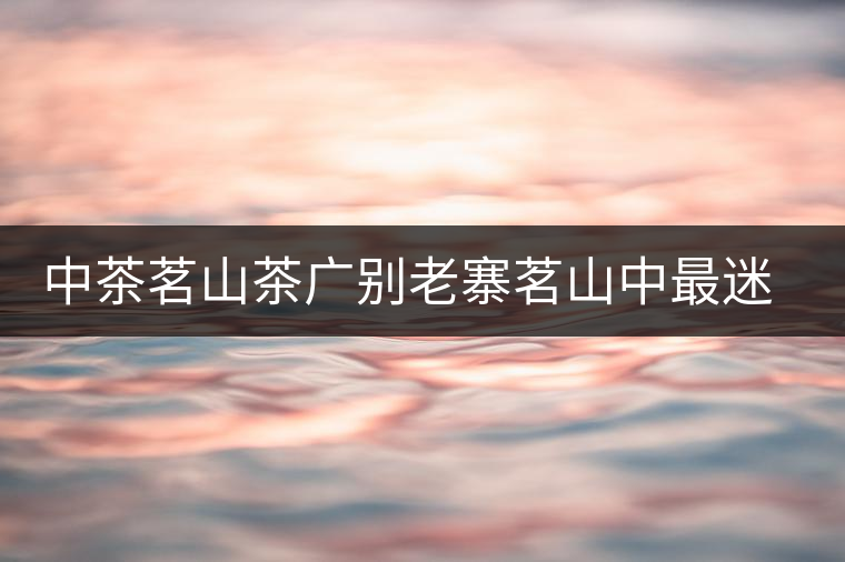 中茶茗山茶廣別老寨茗山中最迷人的那首“詩” 中茶茗山茶廣別老寨茗山中最迷人的那首“詩”