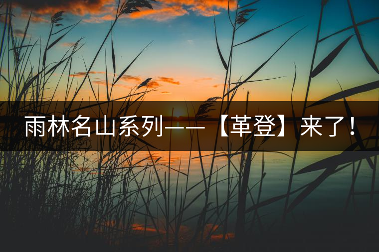 雨林名山系列——【革登】來(lái)了！