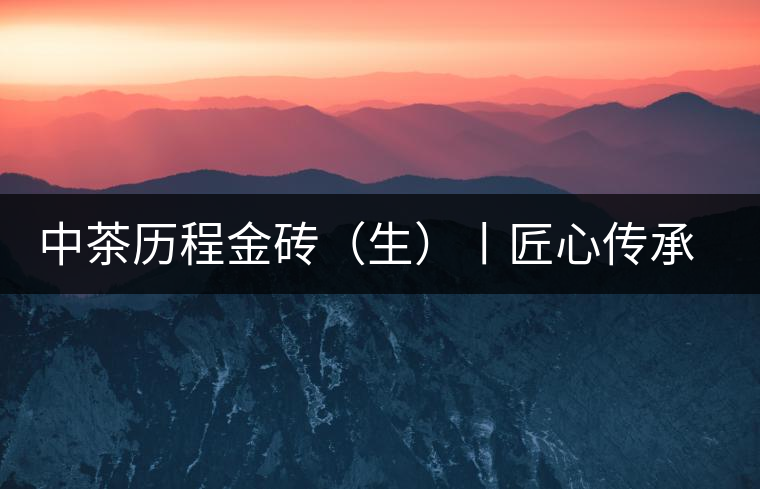 中茶歷程金磚（生）丨匠心傳承，精品迭出