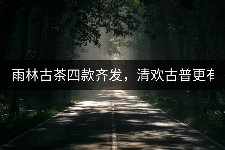 雨林古茶四款齊發(fā)，清歡古普更有味！