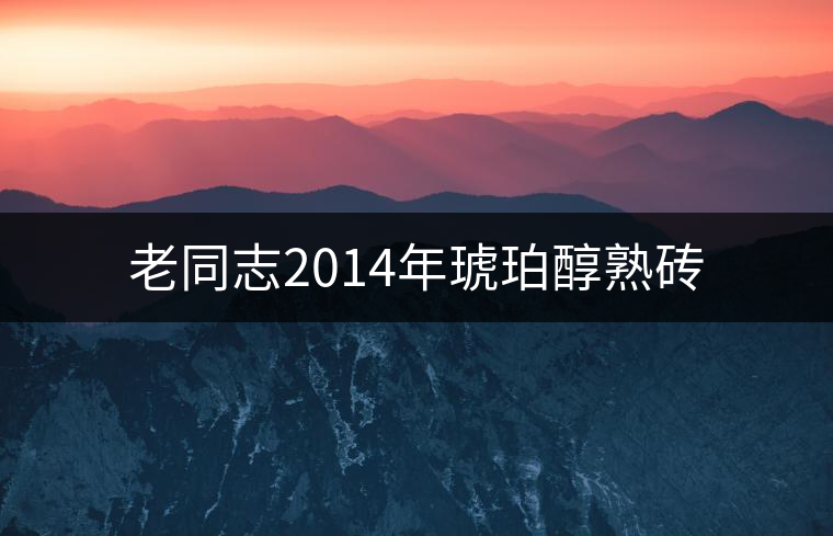 老同志2014年琥珀醇熟磚 老同志2014年琥珀醇熟磚
