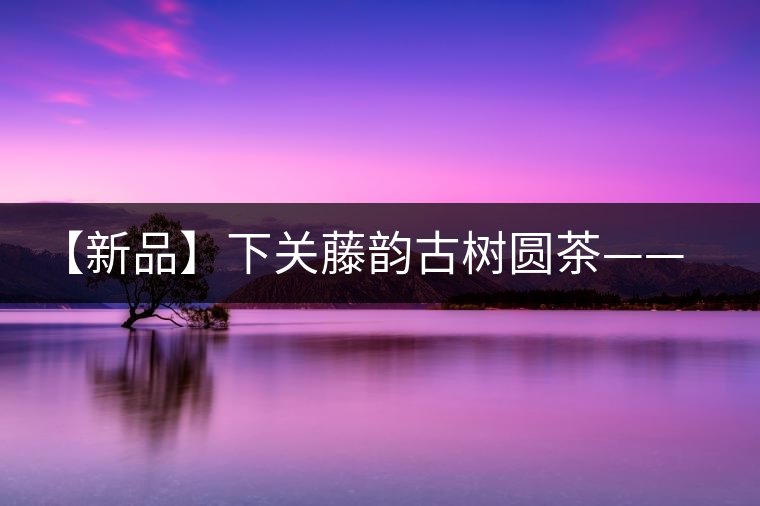 【新品】下關藤韻古樹圓茶——“千手觀音”臨世之風骨