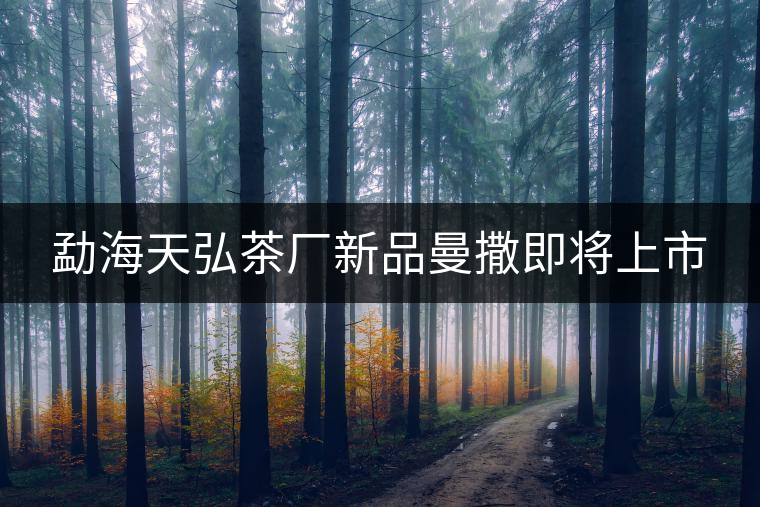 勐海天弘茶廠新品曼撒即將上市 勐海天弘茶廠新品曼撒即將上市