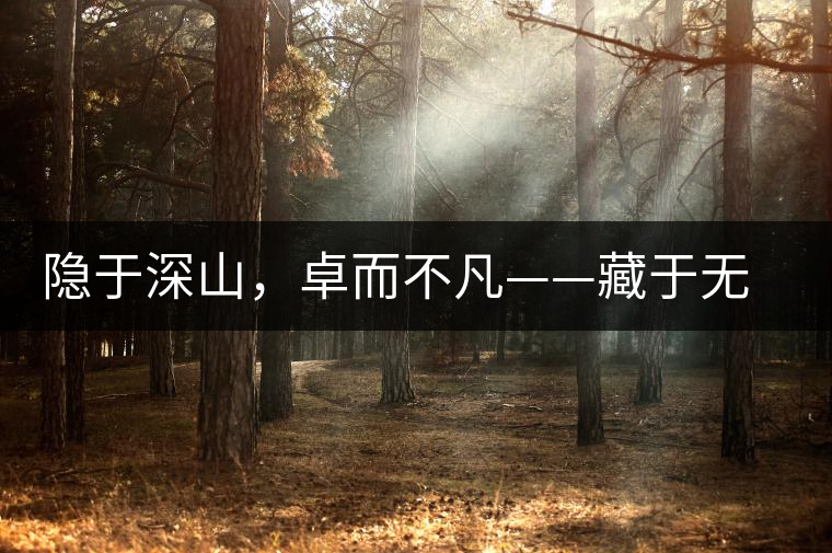 隱于深山，卓而不凡——藏于無量余脈的困鹿貢香