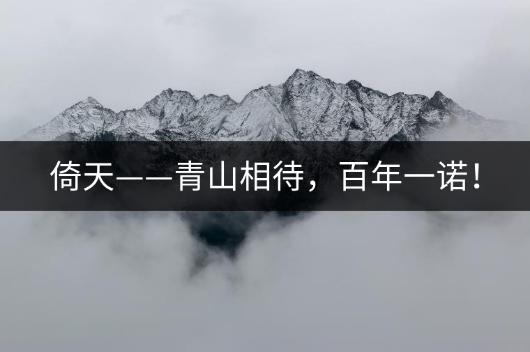 倚天——青山相待，百年一諾！