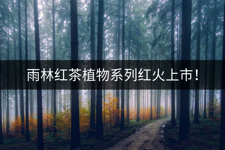 雨林紅茶植物系列紅火上市！