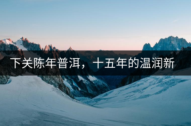 下關(guān)陳年普洱，十五年的溫潤新生