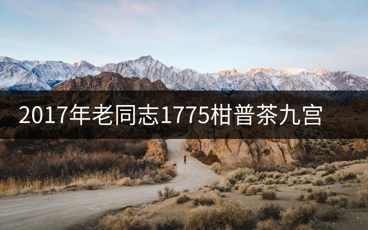 2017年老同志1775柑普茶九宮格裝上市 2017年老同志1775柑普茶九宮格裝上市