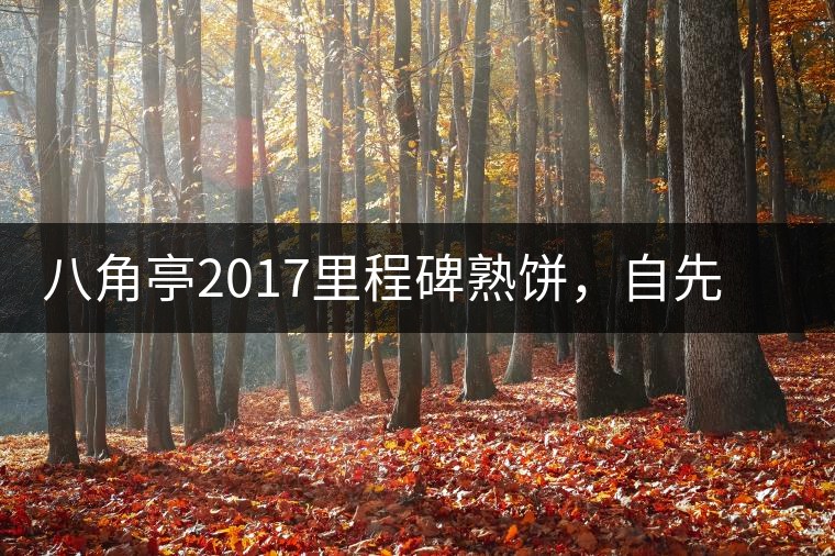 八角亭2017里程碑熟餅，自先發(fā)酵而后愛人