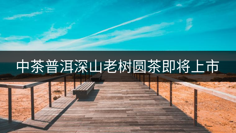 中茶普洱深山老樹(shù)圓茶即將上市 中茶普洱深山老樹(shù)圓茶即將上市