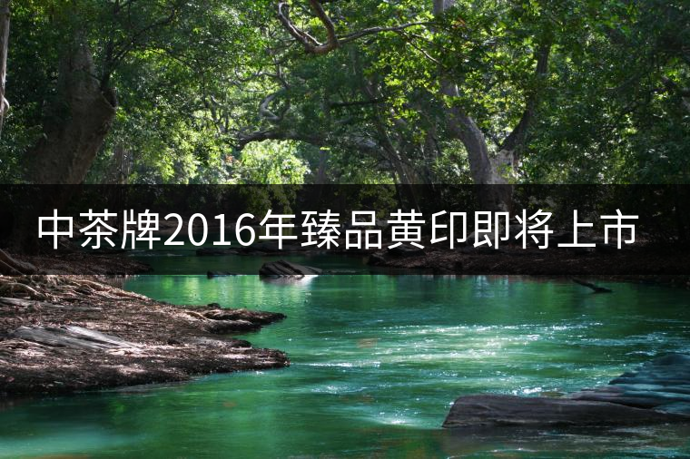 中茶牌2016年臻品黃印即將上市！