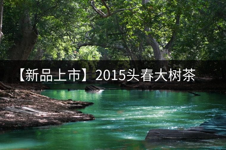 【新品上市】2015頭春大樹茶“春歸”即將限量上市 【新品上市】2015頭春大樹茶“春歸”即將限量上市