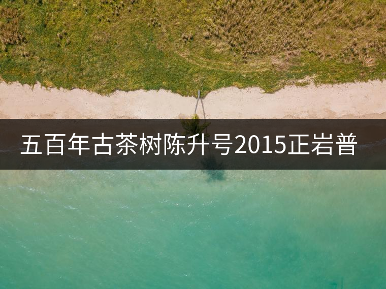 五百年古茶樹(shù)陳升號(hào)2015正巖普洱上市 五百年古茶樹(shù)陳升號(hào)2015正巖普洱上市