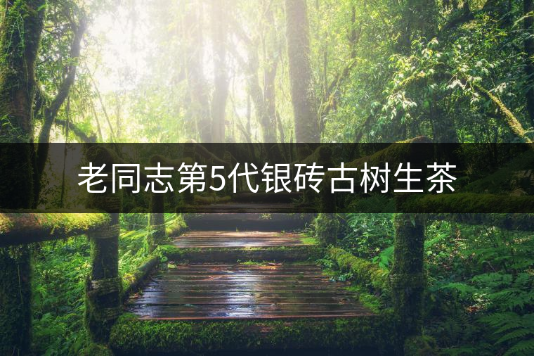 老同志第5代銀磚古樹生茶