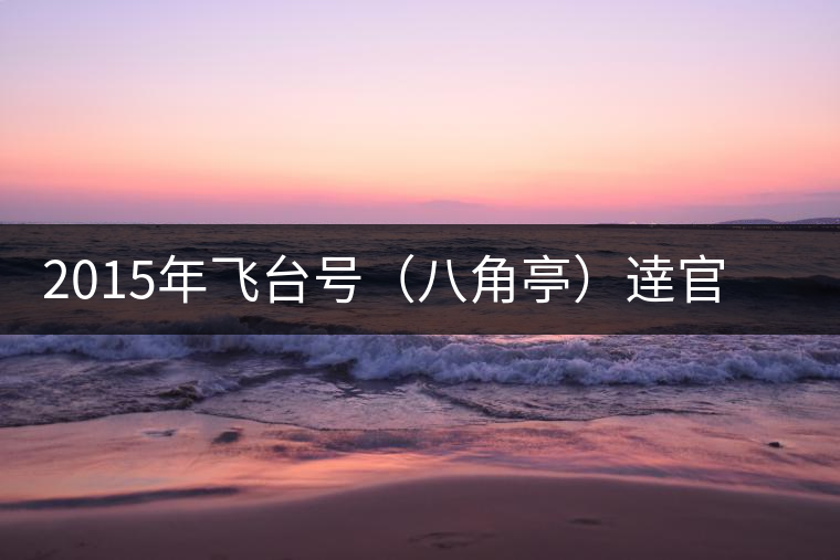 2015年飛臺號(八角亭)逹官普洱茶生茶上市 2015年飛臺號(八角亭)逹官普洱茶生茶上市