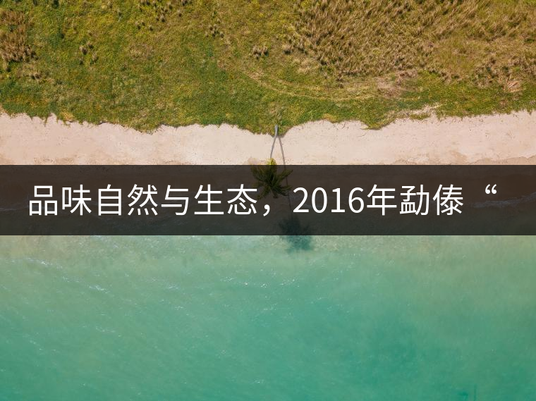 品味自然與生態(tài)，2016年勐傣“大雪山古樹(shù)茶”