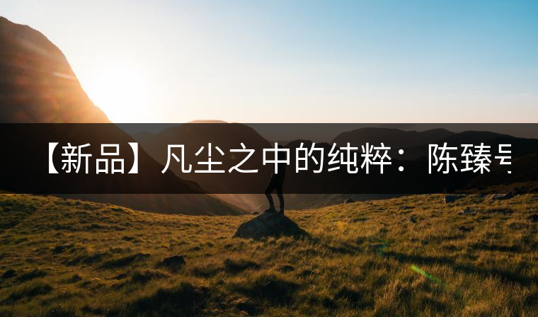 【新品】凡塵之中的純粹：陳臻號2016年精品青餅即將上市！