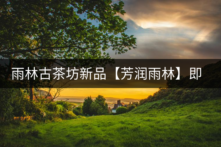 雨林古茶坊新品【芳潤雨林】即將上市