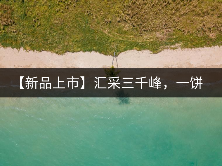 【新品上市】匯采三千峰，一餅群山鑄——群峰之峻！