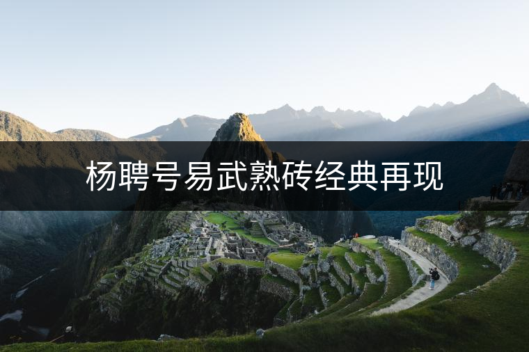 楊聘號(hào)易武熟磚經(jīng)典再現(xiàn)