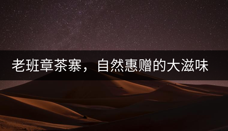 老班章茶寨，自然惠贈的大滋味，大滿足