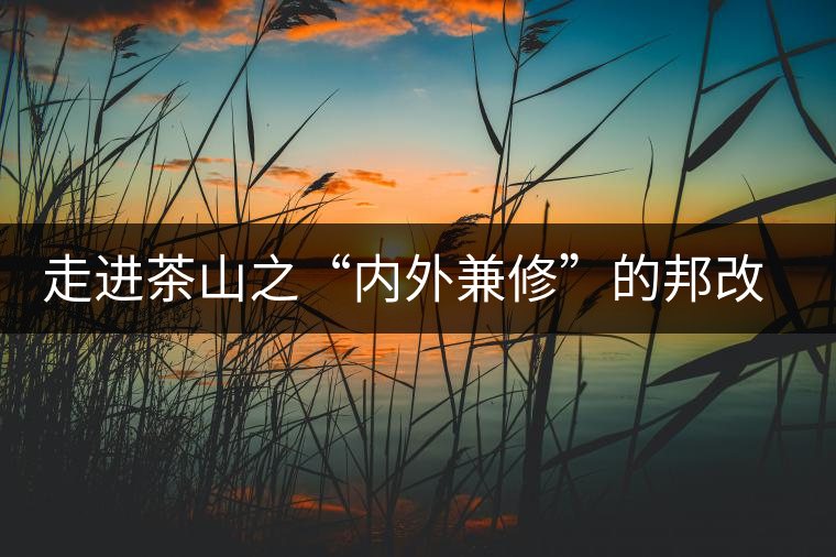 走進(jìn)茶山之“內(nèi)外兼修”的邦改村 走進(jìn)茶山之“內(nèi)外兼修”的邦改村