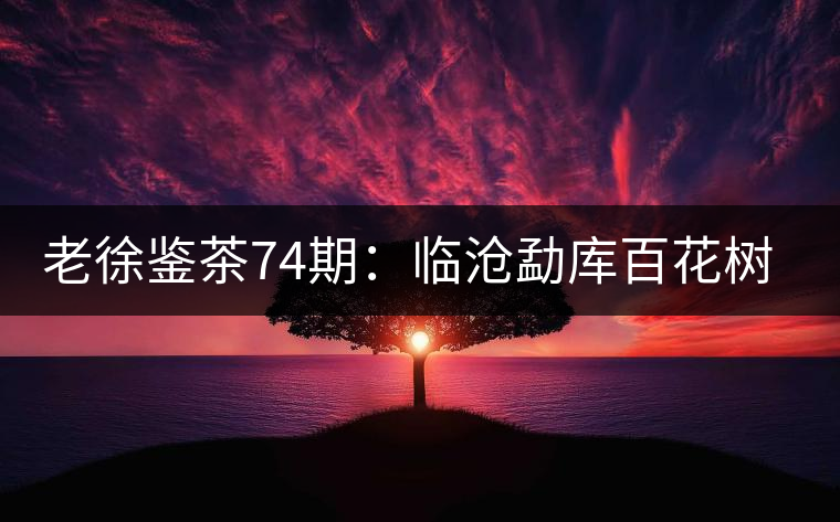 老徐鑒茶74期：臨滄勐庫(kù)百花樹(shù)混采古樹(shù)茶品鑒報(bào)告（北京茶友寄）