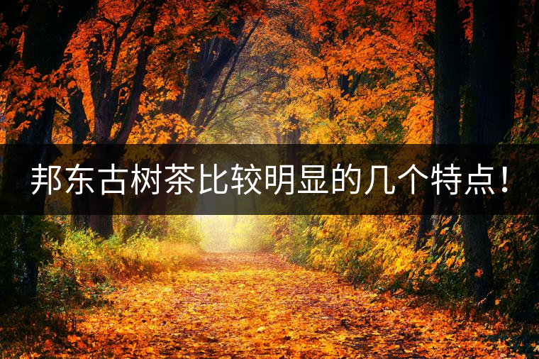 邦東古樹茶比較明顯的幾個特點！