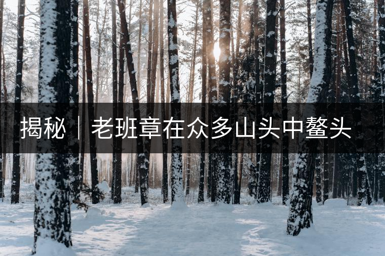 揭秘｜老班章在眾多山頭中鰲頭引領(lǐng)的原因