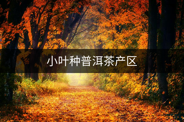 小葉種普洱茶產(chǎn)區(qū) 小葉種普洱茶產(chǎn)區(qū)