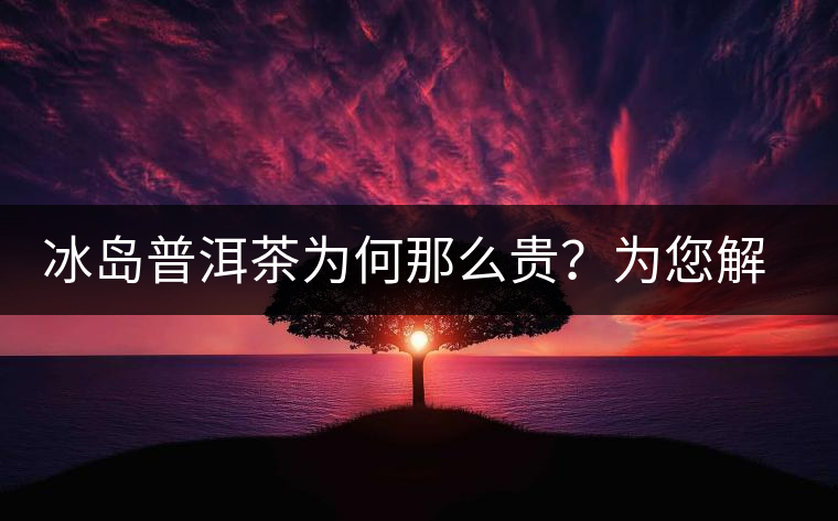 冰島普洱茶為何那么貴？為您解析其中的原由