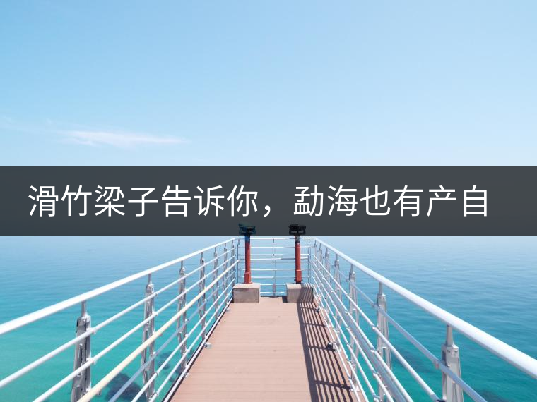 滑竹梁子告訴你，勐海也有產(chǎn)自國有林里的好茶！