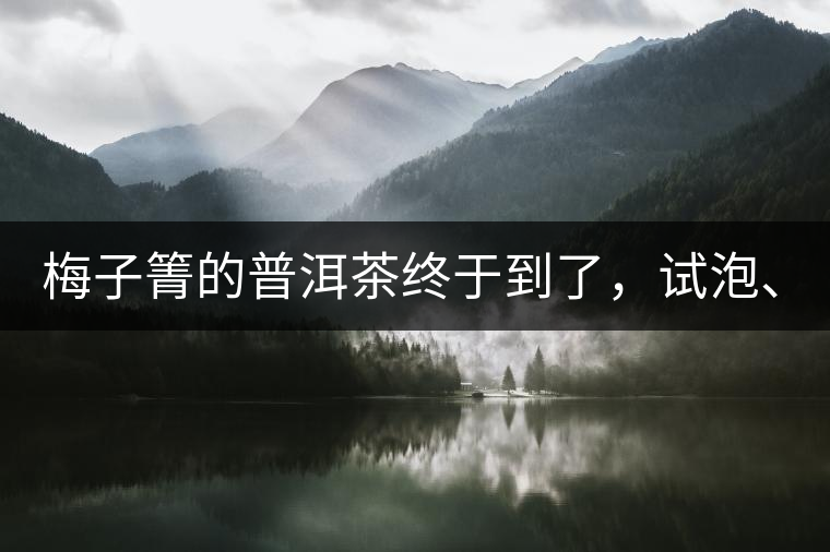 梅子箐的普洱茶終于到了，試泡、、、