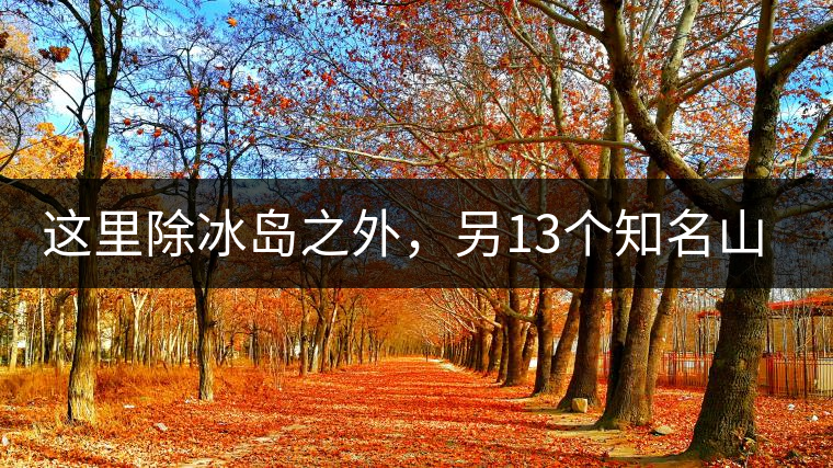這里除冰島之外，另13個知名山頭普洱茶你知道嗎？