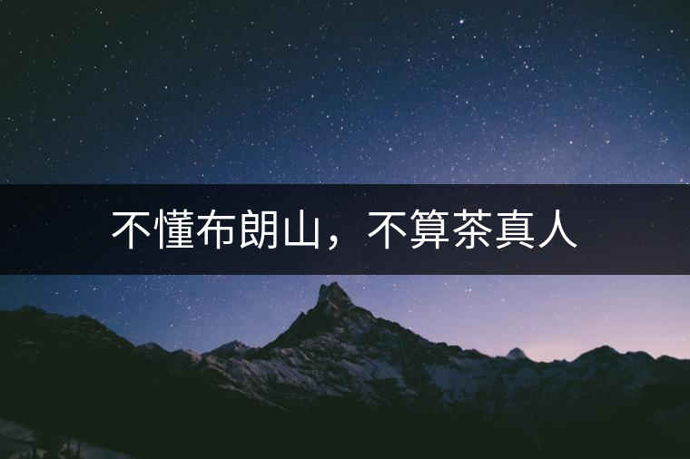不懂布朗山，不算茶真人