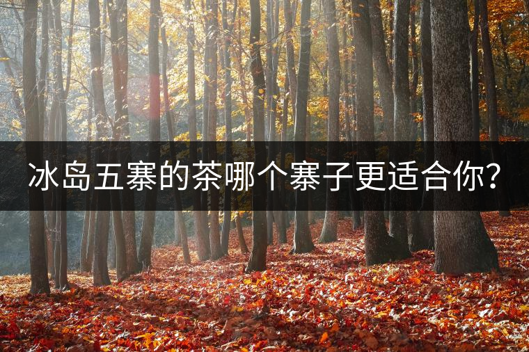 冰島五寨的茶哪個(gè)寨子更適合你？