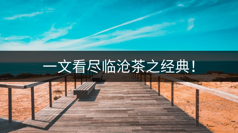一文看盡臨滄茶之經(jīng)典！