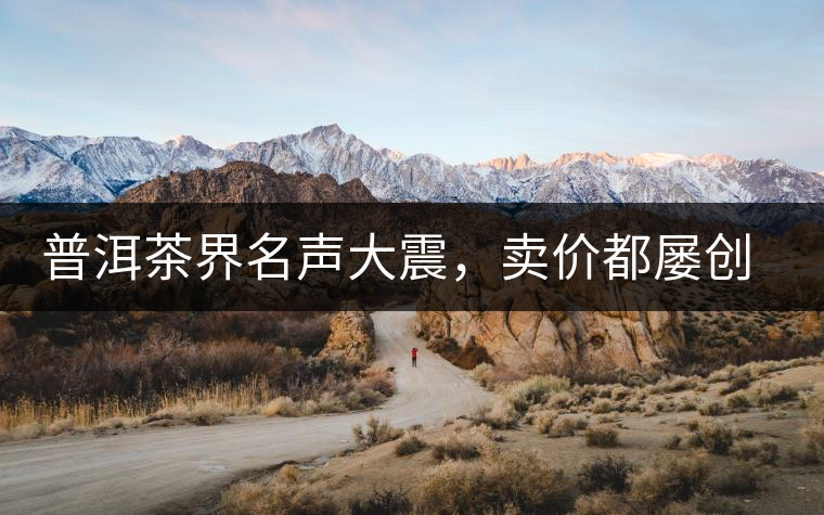 普洱茶界名聲大震，賣價都屢創(chuàng)新高竟然是它