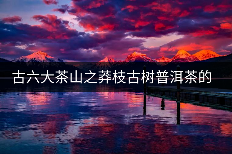 古六大茶山之莽枝古樹普洱茶的特點 古六大茶山之莽枝古樹普洱茶的特點