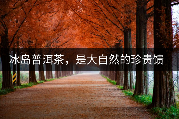 冰島普洱茶，是大自然的珍貴饋贈(zèng)