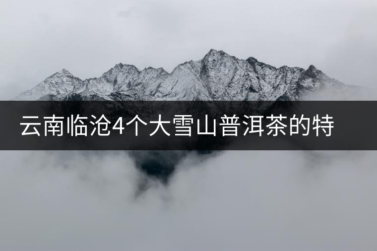 云南臨滄4個大雪山普洱茶的特點和區(qū)別，這下全搞清了