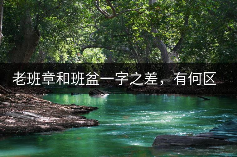 老班章和班盆一字之差，有何區(qū)別