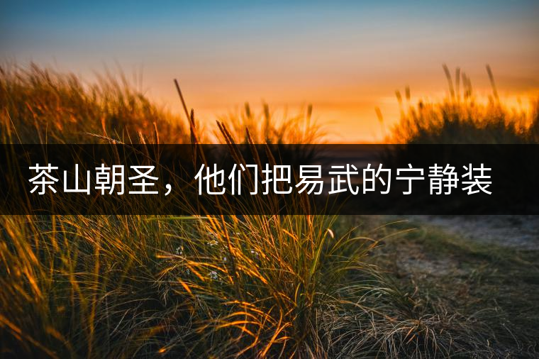 茶山朝圣，他們把易武的寧靜裝進心里，卻把成堆垃圾留在