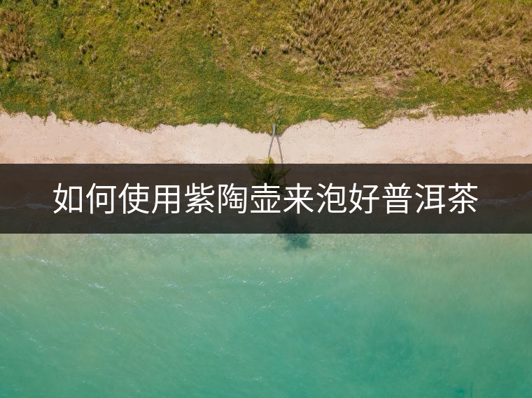 如何使用紫陶壺來(lái)泡好普洱茶