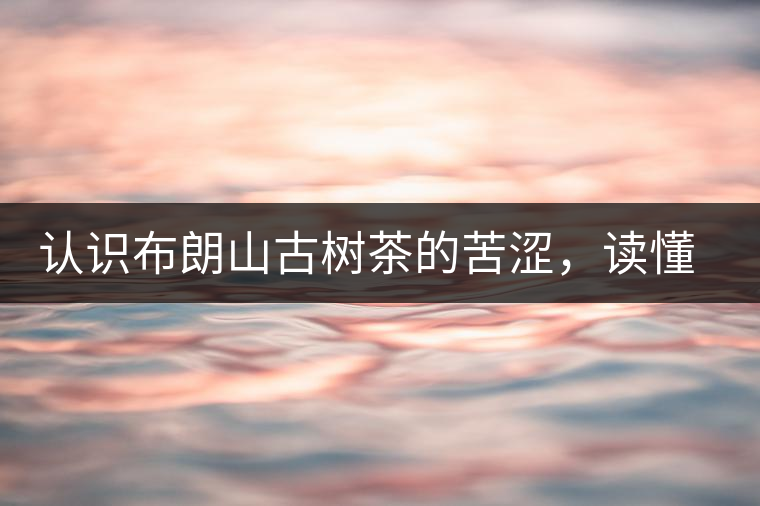 認(rèn)識(shí)布朗山古樹茶的苦澀，讀懂勐海普洱茶