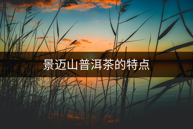 景邁山普洱茶的特點(diǎn)