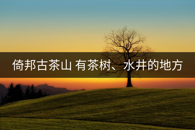 倚邦古茶山 有茶樹、水井的地方